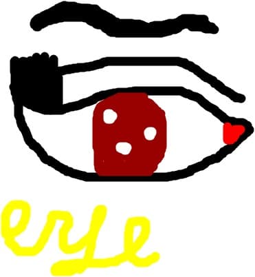 ochi
