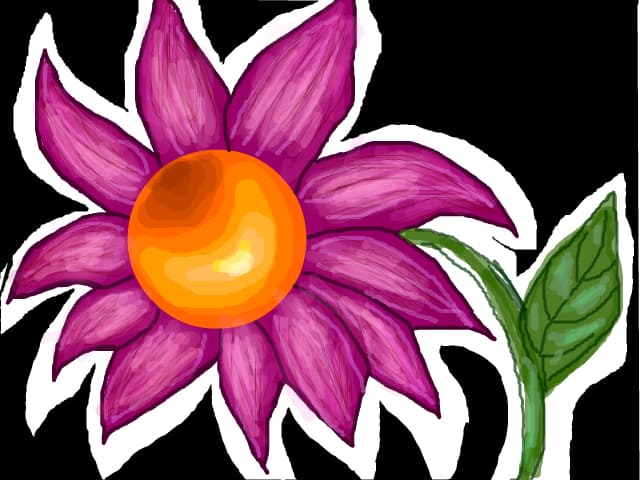 flower