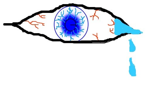 Crying eye