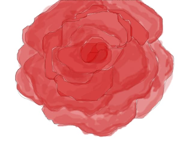o floare....