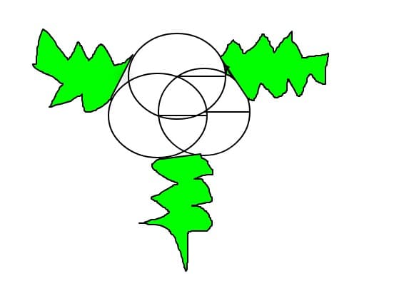 Decoratiune
