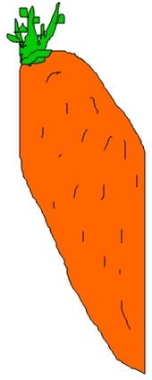 legume