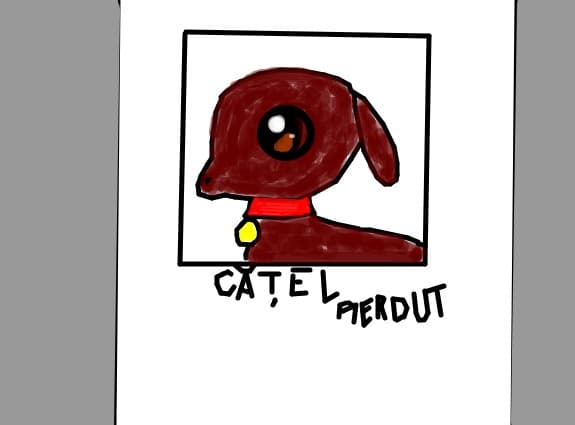 Catel Pierdut