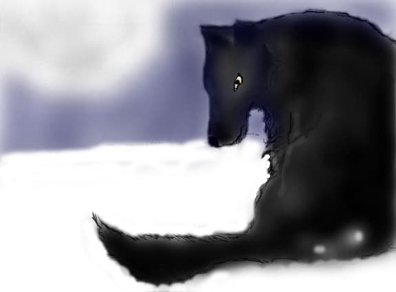 new moon