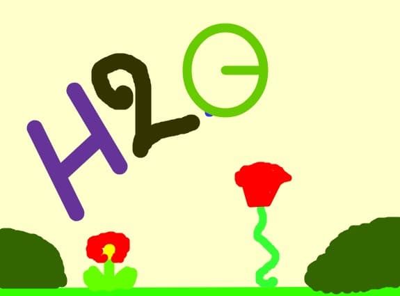 h2o