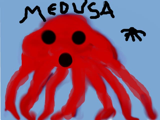 a medusa