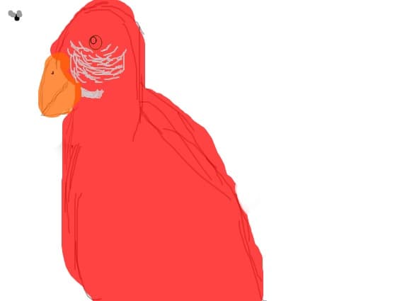 papagal