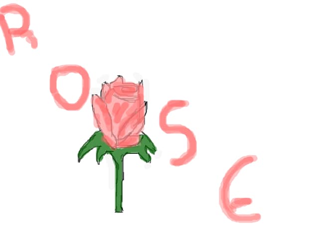 rose