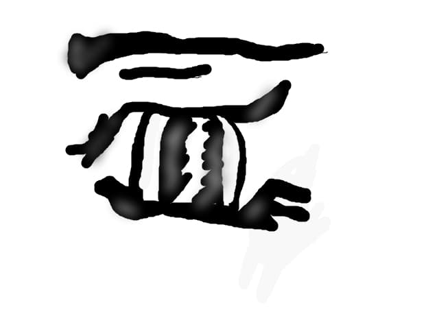 eye