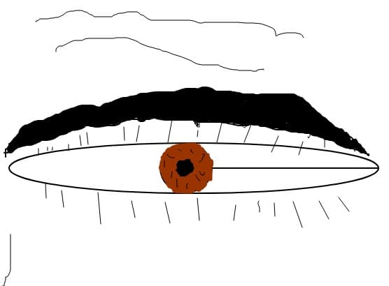 eyes