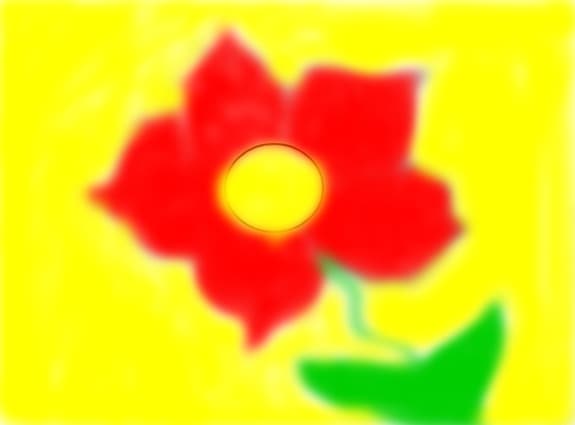 o floare