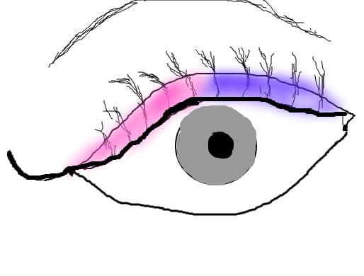 eyes