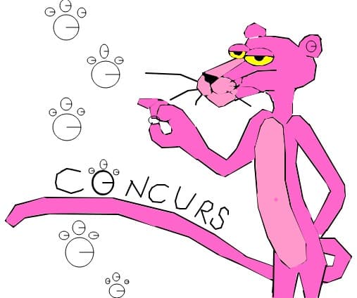 pink panter va transmite Concurs !!!