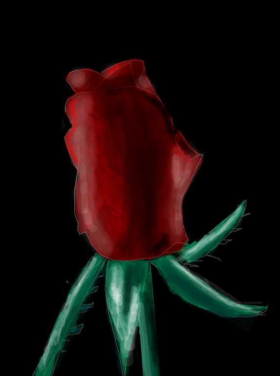 rose