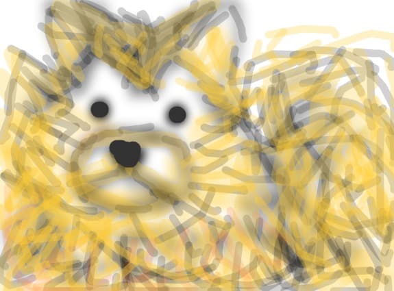 scref