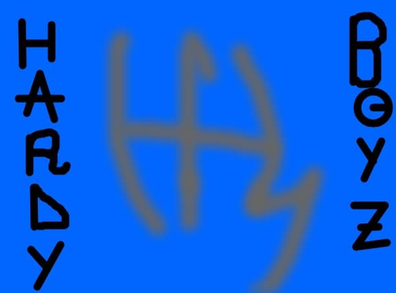 HARDY BOYZ