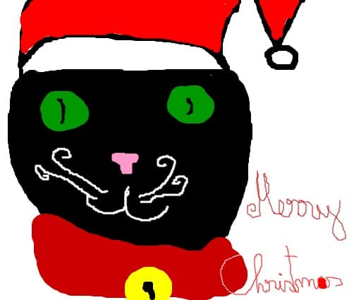 Cat For Christmas