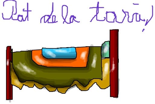 pat de la tara!