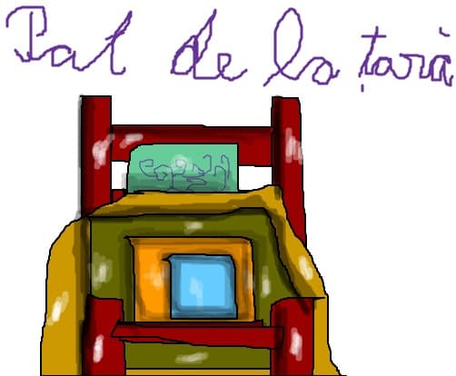 Pat de la tara fata (2)