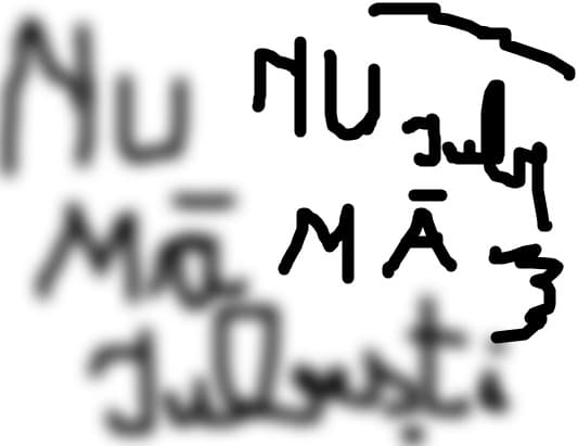 danutdanut11@yahoo.com