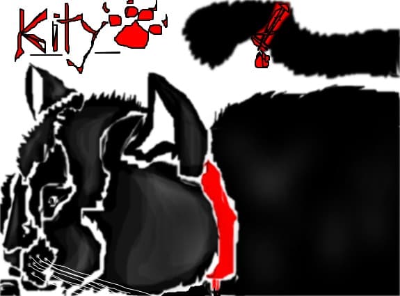 kity