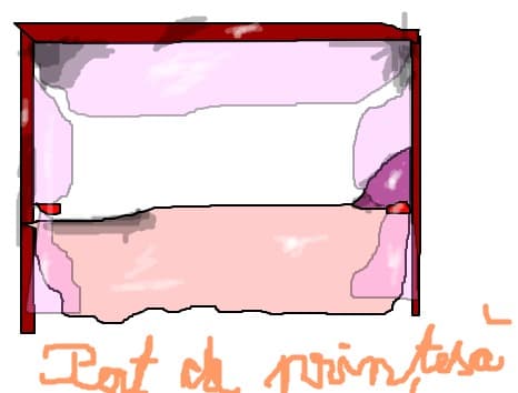 Pat de printesa