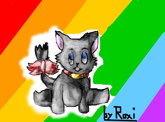 kitty