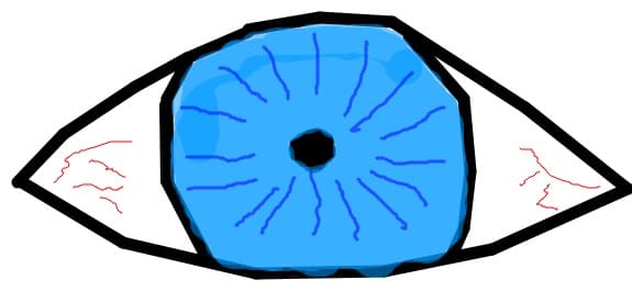 Ochi?