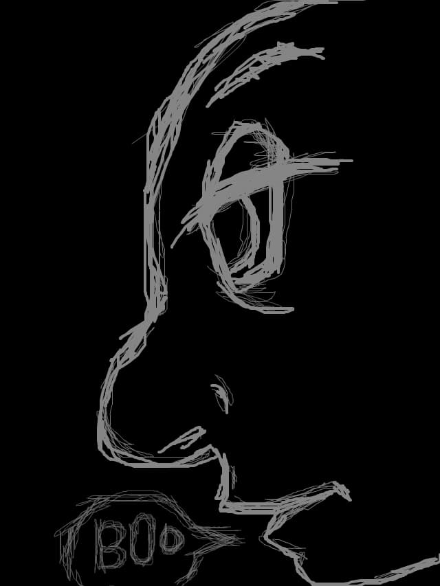strainul