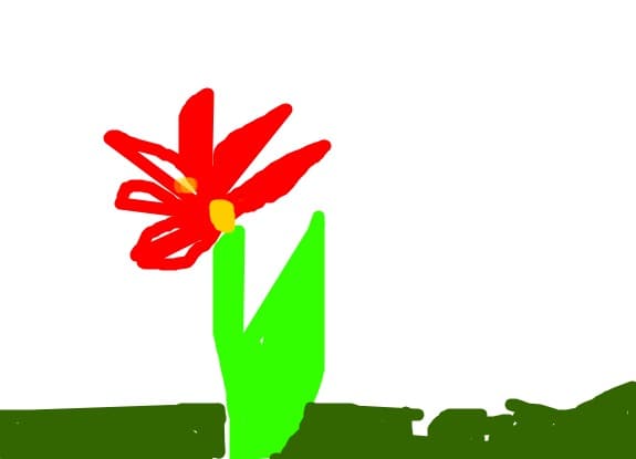 Floricica