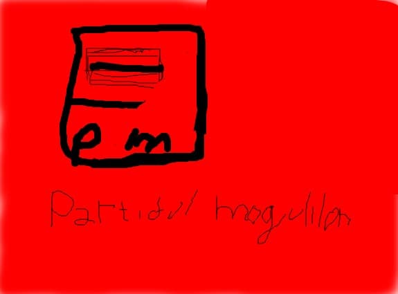 Partidul Mogulilor