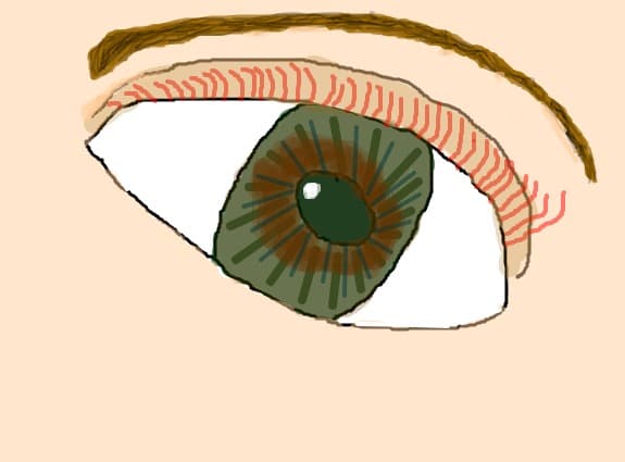 ochi