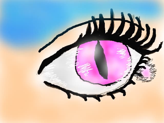 eye