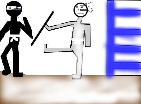 ninja cica