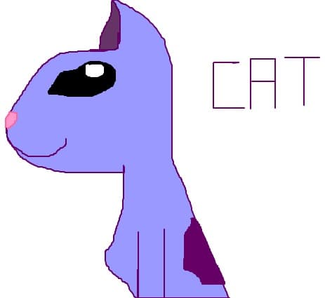 mr. cat