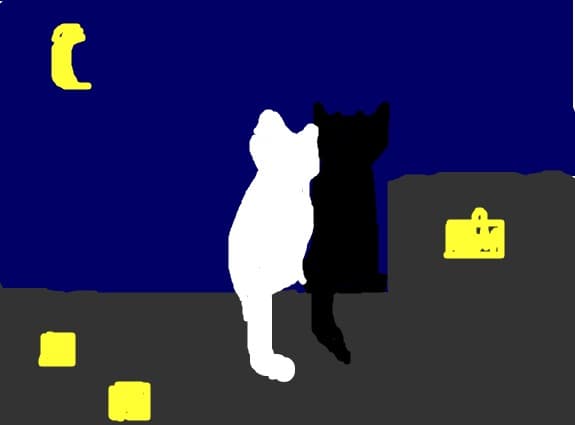 two cats in night