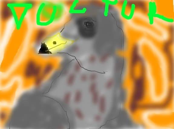pui de vultur