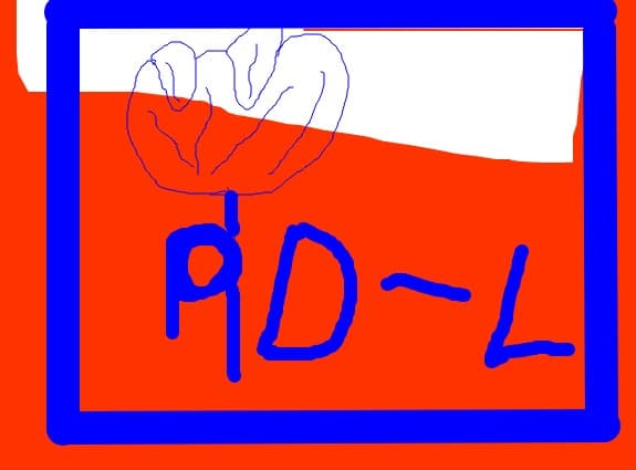 Pd-l
