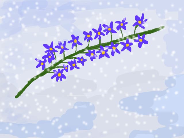 visez la flori de mai...in mijlocul iernii:((