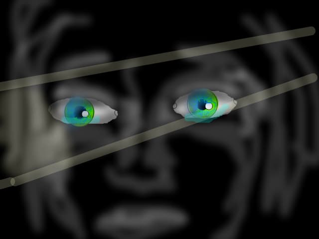 Eyes