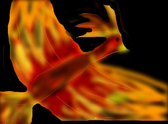 Phoenix