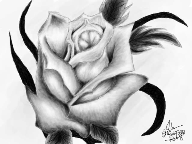 Black Rose