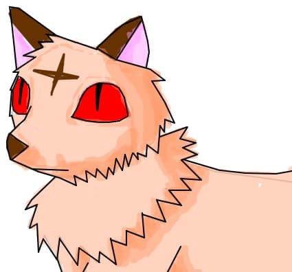 kirara