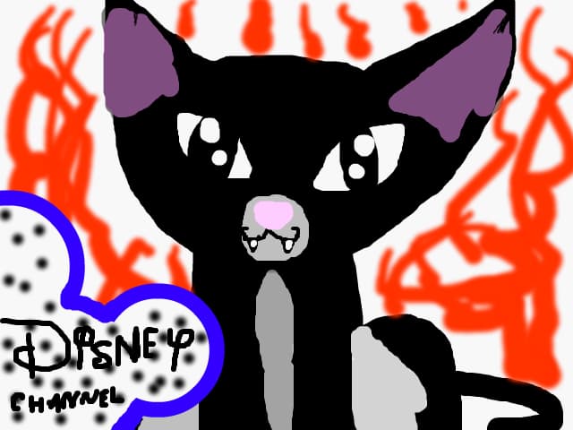 kitty