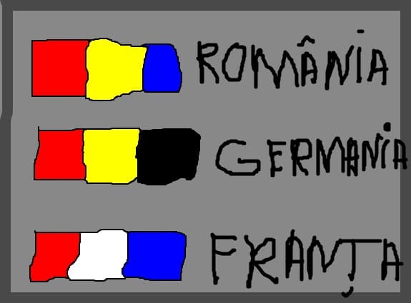 Romani Germania Franta