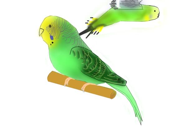 perus