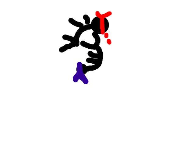 drgf