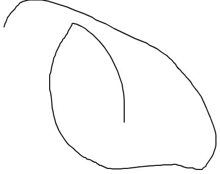 dascalu catrinel