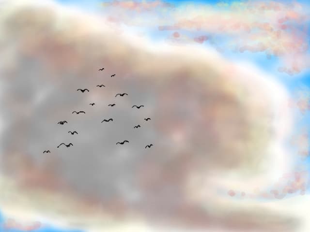 Birds (Diana)