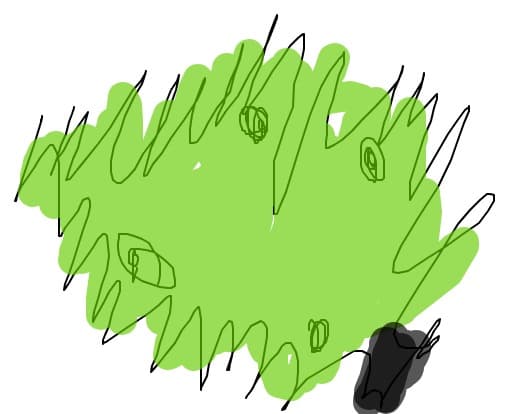 brad